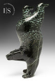 11" Diving Bear by Tim Pee *Tumbler*