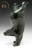 11" Diving Bear by Tim Pee *Tumbler*