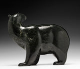 Ours ambulant SIGNATURE 11" par Tim Pee *Out of the Woods*