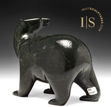 Ours ambulant SIGNATURE 11" par Tim Pee *Out of the Woods*