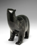 Ours ambulant SIGNATURE 11" par Tim Pee *Out of the Woods*