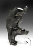 RESERVED** 6” SIGNATURE Diving Bear by Tim Pee *Magic in Motion*