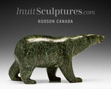 8" SIGNATURE Walking Bear by Tim Pee *Hunter*