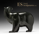 Ours ambulant SIGNATURE 11" par Tim Pee *Out of the Woods*
