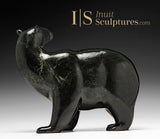 11" SIGNATURE Walking Bear by Tim Pee *Out of the Woods*