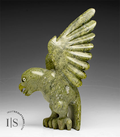 8" Hawk by Toonoo Sharky