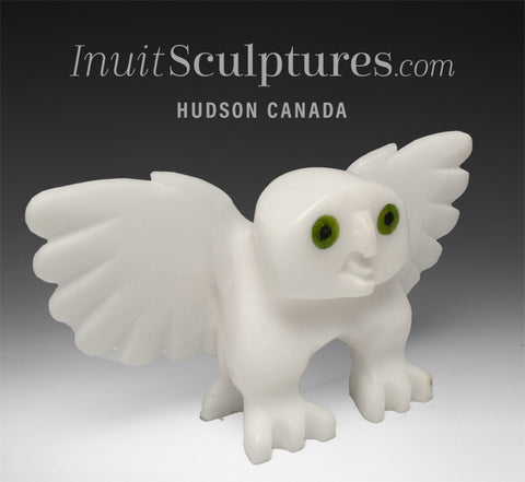 7" Hawk by Toonoo Sharky