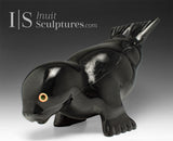 11" Seal by Toonoo Sharky