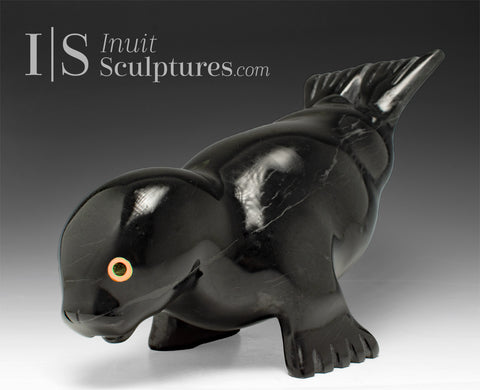 11" Seal by Toonoo Sharky