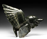 16" SIGNATURE Bird Spirit by Toonoo Sharky RCA *Mirth*