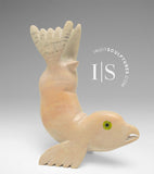 5" Seal by Toonoo Sharky