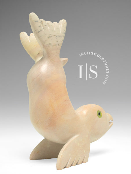 5" Seal by Toonoo Sharky