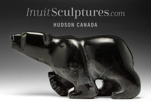 14" Bear by Toonoo Sharky