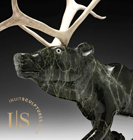 20" Caribou by Toonoo Sharky *Tundra King*