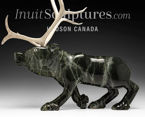 20" Caribou by Toonoo Sharky *Tundra King Rudolph*