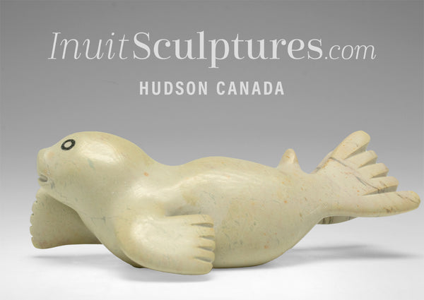 6" Seal by Toonoo Sharky