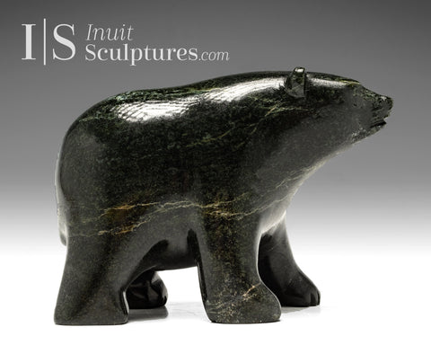 Ours qui marche 6" par David Shaa *Moondance*