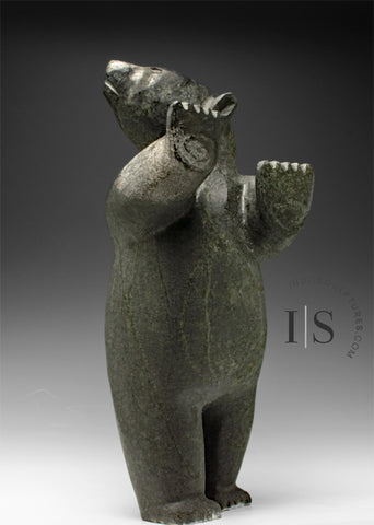 BIG HEARTED ours debout de 22 pouces par Willie Kolola