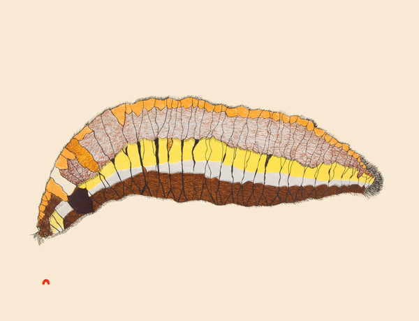 2018 Woollybear Caterpillar, 2014 by PAPIARA TUKIKI