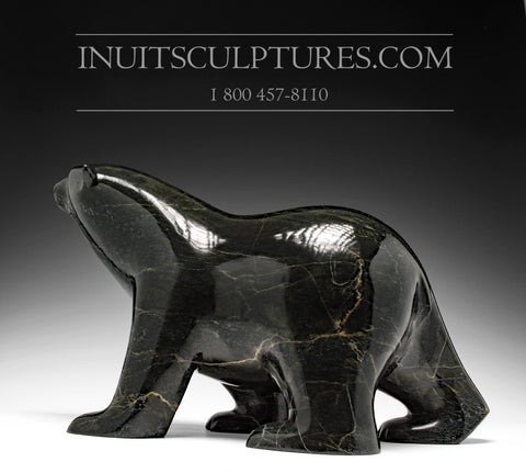 Ours ambulant noir frappant de 16 po par Ashevak Adla