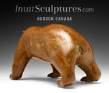 Ours qui marche SIGNATURE 14" par Bill Nasogaluak *Red Sky* CHOIX DU CONSERVATEUR