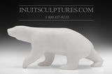 9" Majestic Walking Bear by Bill Nasogaluak