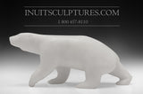 Ours majestueux 9" par Bill Nasogaluak
