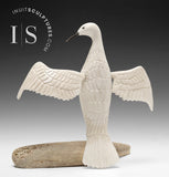 Oiseau majestueux 10" par Harrison Miklahook Jr. *Nobilité"