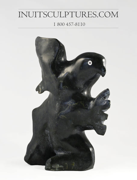 Transformation d'oiseau 9" par Charlie Ookpik