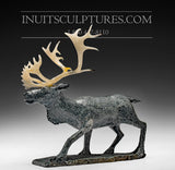 Caribou par Bobby Anavilok