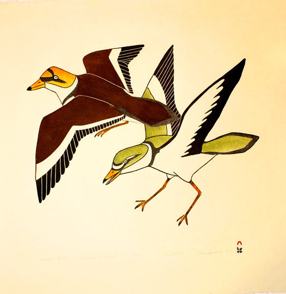 1997 COASTAL BIRDS by Kananginak Pootoogook