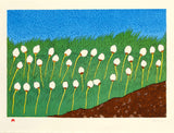 2013 COTON GRASS par Nicotye Samayualie