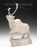 21" Museum Sculpture Camouflage Caribou (2001) by Master Carver Moses Koonark