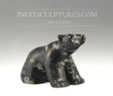 Ours qui marche 5" par Charlie Ookpik