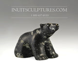 Ours qui marche 5" par Charlie Ookpik