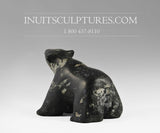 Ours qui marche 5" par Charlie Ookpik