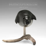 Sceau 8" par Louie Uttaq Gjoa Haven *Ocean Adventurer*