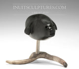 Sceau 8" par Louie Uttaq Gjoa Haven *Ocean Adventurer*