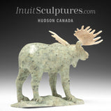 8" Moose by Peter K. *King of the Tundra*