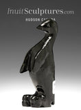 4" Penguin by Kelly Etidloie  *Visitor from the South Pole*