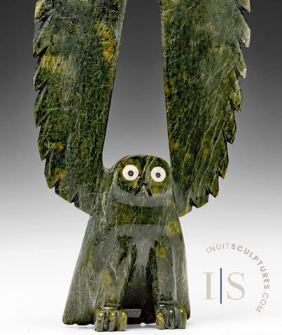 12" SIGNATURE Owl  by Sam Qiatsuk *Hooty*