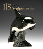 6" SIGNATURE Orca par Johnnysa Mathewsie *Frozen in Time*