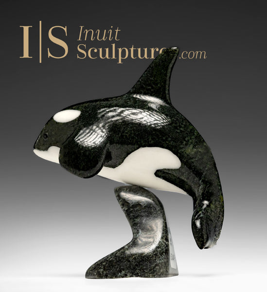 6" SIGNATURE Orca par Johnnysa Mathewsie *Frozen in Time*