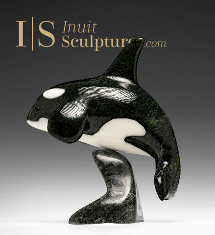 6" SIGNATURE Orca par Johnnysa Mathewsie *Frozen in Time*