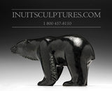 8" Winsome Black Bear by Master Carver Derrald Taylor