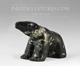 Ours qui marche 5" par Charlie Ookpik