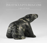 Ours qui marche 5" par Charlie Ookpik