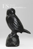 14"  Perched Owl by Louie Uttaq Gjoa Haven *Hooty*