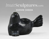 5"  Seal by Louie Makittuq  Gjoa Haven *Ice Cube*