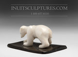 3" Miniature Ivory Bear by Tarsis Pillakapsi